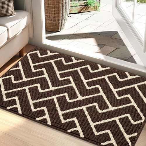 Biscpro Zerbino Ingresso 60x90cm,Assorbente Tappeto per Esterno,ingresso,per porta interna o zerbino Esterno Ingresso, patio,Veranda,Soglia o portico,Ufficio