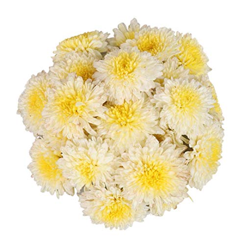 HOOVU Fresh Chrysanthemum, 100 gms