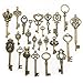 Youdiyla Vintage Skeleton Key in Antique Bronze Style - Set of 46pcs (HM107)