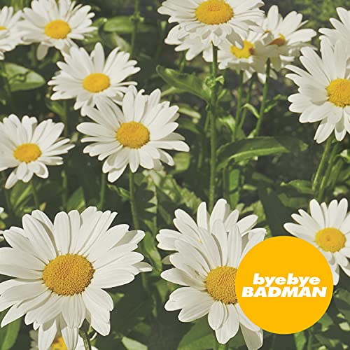 Bye Bye Badman feat. Kim, yoonju