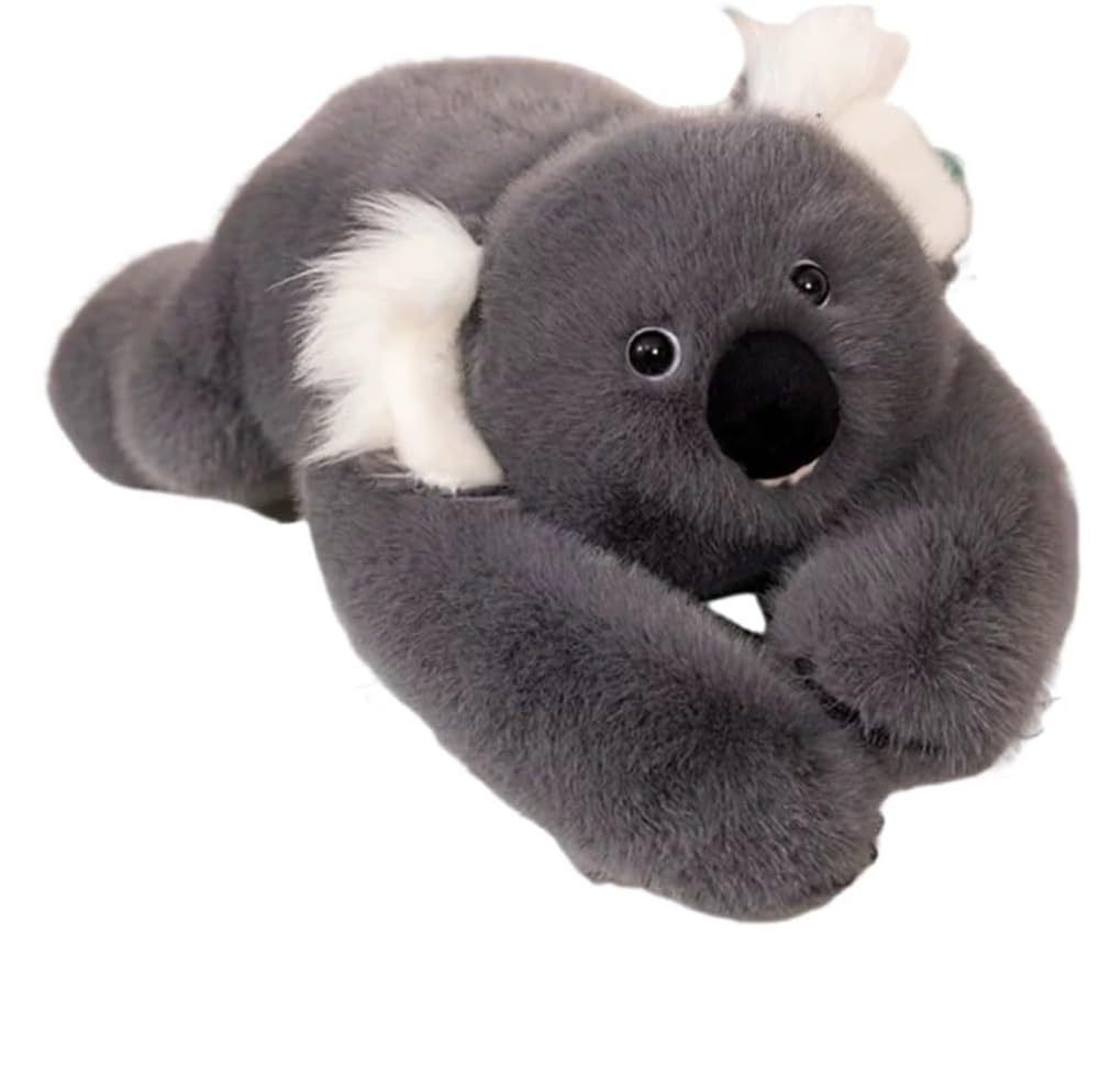 TRgqify-KM Pulse Of Potential Weighted Stuffed Animal, Hugs And Cuddles Chubby Giant Pillow, Stuffed For Adults(Koala,17.7in)