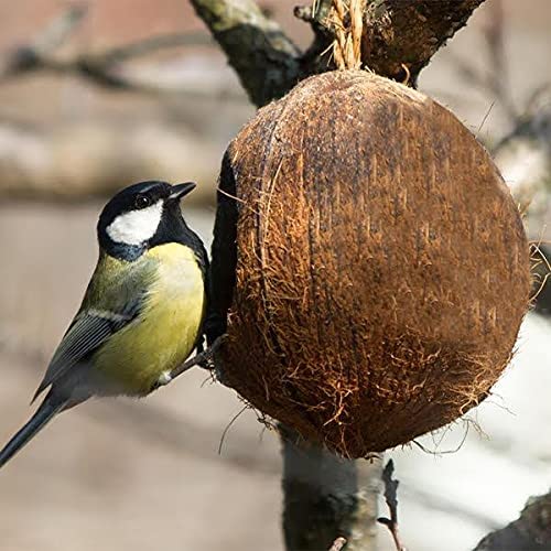 Bird Feeder | Coconut Shell Bird House with Hanging Rope | Bird Nest | Natural Bird Feeder | Handmade from Discarded Coconut Shells (B09B4C6RTV) Amazon Price History, Amazon Price Tracker