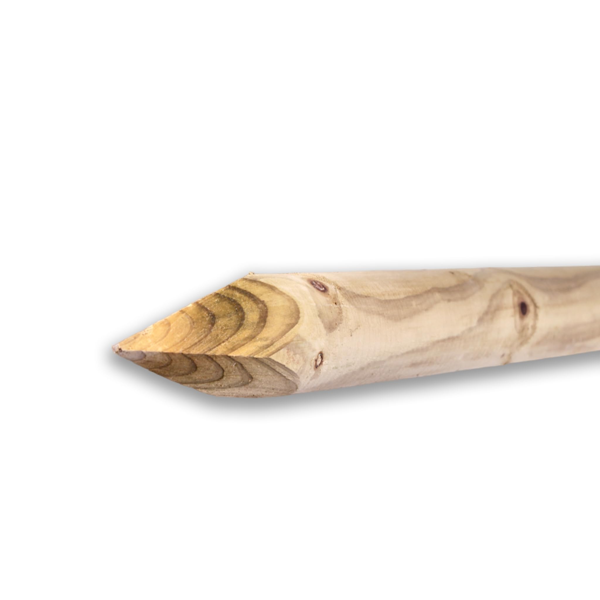 Holzpfahl KDI grün gespitzt 6 cm Ø aus imprägniertem Holz | 100/125/150 cm Länge | Zaunpfahl Gartenpfahl Weidezaun Pfosten Pflanzpfahl Rankhilfe Holzpfosten wetterfest langlebig (125 cm Länge)