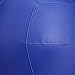 Amazon Basics Training Exercise Medicine Wall Ball, 10-Pound, Blue