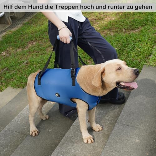Coodeo Hundeliftgeschirr, Haustierunterstützung & Rehabilitation Sling Lift Verstellbare Gepolsterte atmungsaktive Gurte für Alt, Gelenkverletzungen, Arthritis, Stabilitätsverlust Hunde(Blau, L)