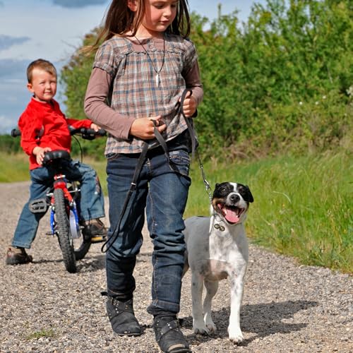 Oykrueats 3 Stück Glöckchen Haustier für Halsband,Katzenglocken Anti Verlust Metall,Kleine Glocke Halsband Anhänger,Laute Haustier Tracker Glocken,Tracker Glöckchen für Katzen Hunde Bell Glocken