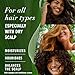 Herbal Essences Eucalyptus Sulfate Free Shampoo, Scalp Balance, 13.5 Fl Oz, with Certified Camellia Oil and Aloe Vera, For All Hair Types, Especially Dry Scalp