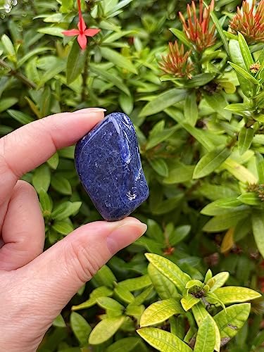 Image of 1 /2 LB Sodalite Tumbled Stones, Polished Sodalite Gemstone, Healing Crystals (Sodalite)