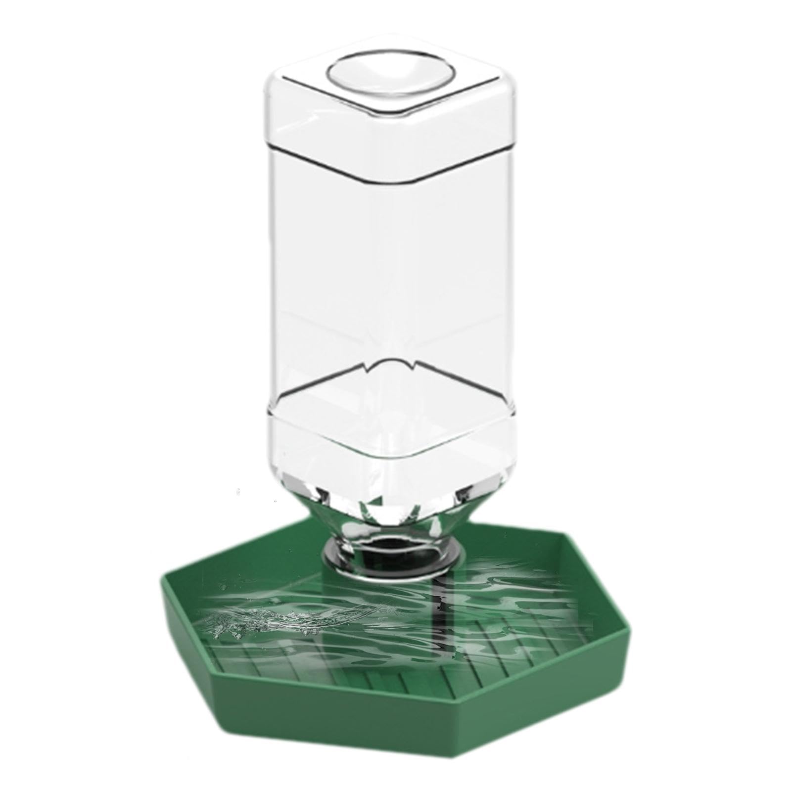 Dispensador de agua para reptiles, accesorios de alimentación de lagartos, cuenco de agua desmontable para tortugas, dragones barbudos y lagartijas