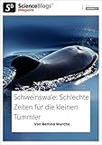  scienceblogs.de-eMagazine: Schweinswale - Schlechte Zeiten für die Kleinen Tümmler (scienceblogs.de-eMagazine 2017 7)