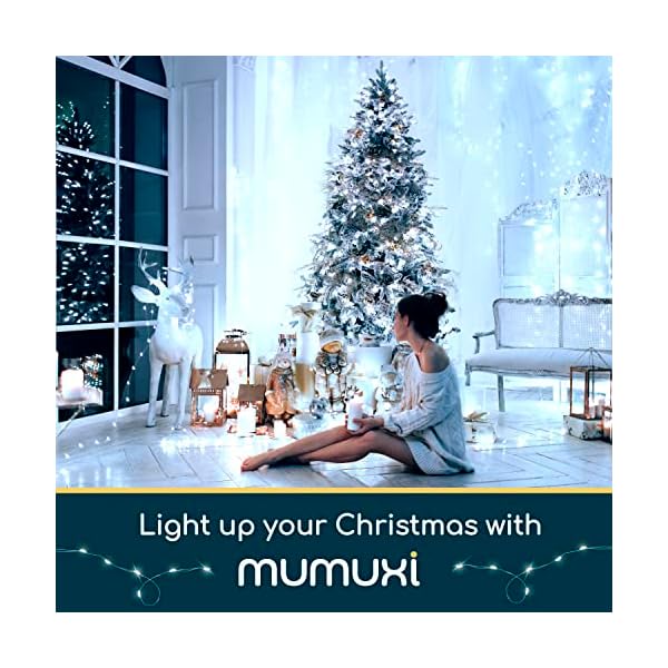 Mumuxi 20 pack fairy lights - image 7