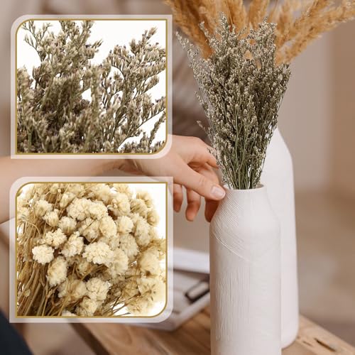 Set de 6 ramos secos de Gypsophila para decoración miniatura 5