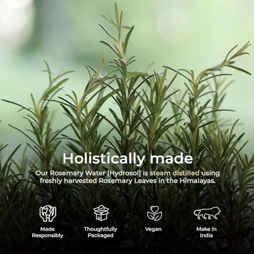 Image of Blend It Raw Apothecary Rosemary Hydrosol for Hair & Skin, Steam Distilled Rosemary Water Bulk Pack of 1000ml