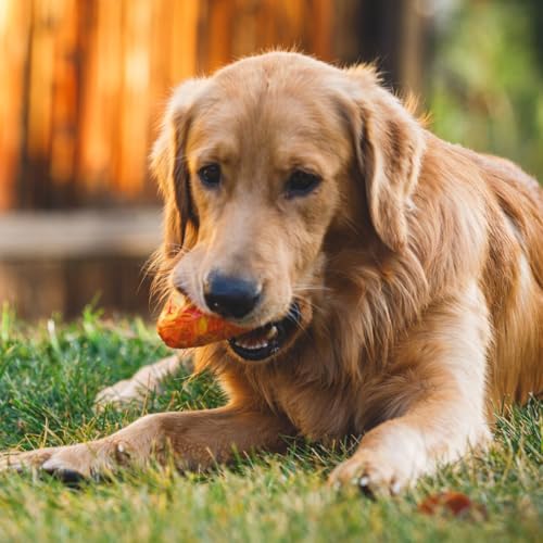 RUFFWEAR Gnawt-a-Cone Hundespielzeug, Tannenzapfen inspirierte Form, kaufestes Gummi-Hundespielzeug mit Erratischer Sprungkraft zum Engagieren und Belohnen, Futter- und Leckerli-Spender, Orange