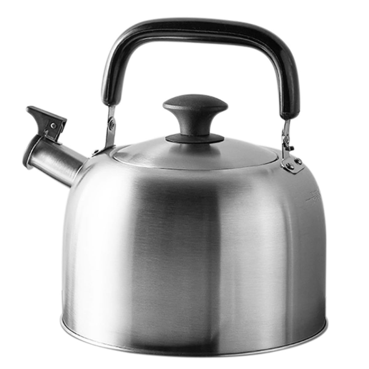 Bollitore Inox 4,5 l Fischio, Acciaio Inossidabile, Bocca Ampia