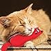 ADAKEL 5 Pieces Cat Catnip Toy Cat Chew Toy for Pet Cat Playing Chewing Teeth Cleaning ADAKEL 5 Pieces Cat Catnip Toy Cat Chew Toy for Pet Cat Playing Chewing Teeth Cleaning