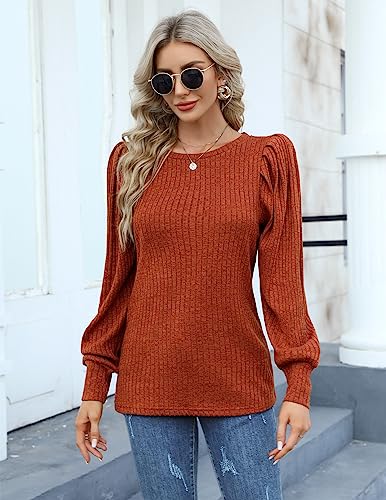 HOTOUCH Women's Knit Blouse Soft Puff Long Sleeve Shirt Tops Lightweight Round Neck Pullover Sweater S-XXL3
