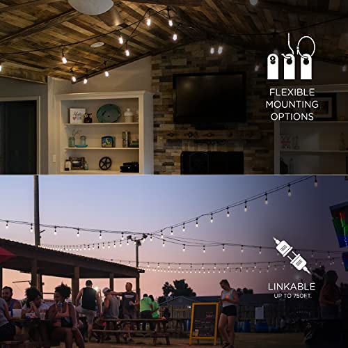 Enbrighten Classic Warm White String Lights, 48ft Black Cord, 24 Shatterproof Acrylic Bulbs, Weatherproof, Outdoor String Lights, 31664 thumbnail 4