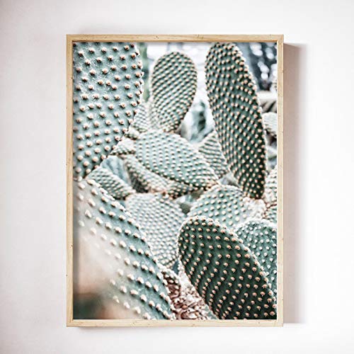Cuadros de cactus verdes en lienzo de 50x75cm para salon 3
