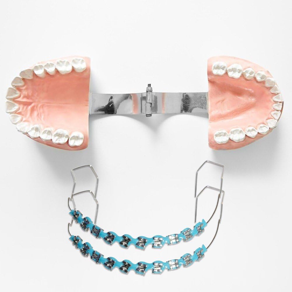 Soporte Dental Metal Azul, Gancho Decoración Temporal Dientes con Alambres Ligaduras Ortodoncia