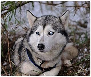 YISUMEI - Soft Fleece Blanket - Siberian Husky, 100 x 150 cm Throw Suitable for Sofa or Bed