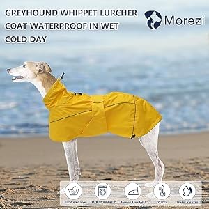 Greyhound Lurcher Raincoat, Whippet Rain Gear with Reflective Bar, Rain/Waterproof, Adjustable Bands and Drawstring in Autumn and Winter - Yellow - XS Greyhound Lurcher Raincoat, Whippet Rain Gear with Reflective Bar, Rain/Waterproof, Adjustable Bands and Drawstring in Autumn and Winter – Yellow – XS