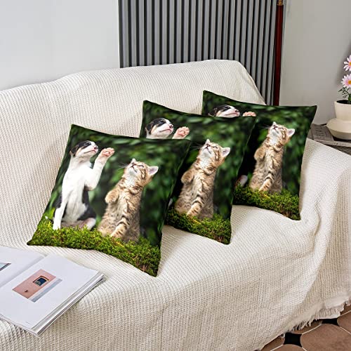 Loussiesd Cat Throw Pillow Covers 18"x18" Set of 2 Pillow Cases Cushion Covers Soft Cats Print Pillow Cases Cushion Covers Puppy Dog Pattern Throw Pillowcases Animal Pet Decorative Throw Cushion Case - Image 4
