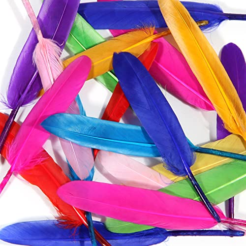 FeelfunFeather 120pcs Mix Color Goose Cochettes Feather 4-6 inch 10-15cm Bulk Natural for Wedding Party Halloween Decorations DIY Cosplay Gothic Costumes Crafts - Thumbnail 5
