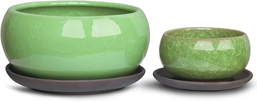 Miniatura 4 de Dahlia Maceta redonda de cerámica para suculentasbonsái con bandeja de drenaje, juego de 2 piezas, color verde