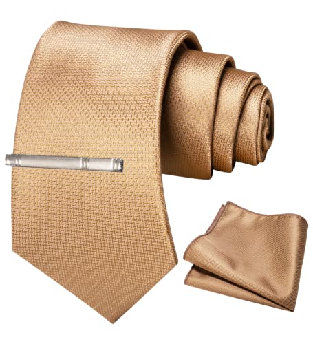 Image of RBOCOTT Silk Stripe Plaid Tie and Pocket Square with Tie Clip Sets for Men