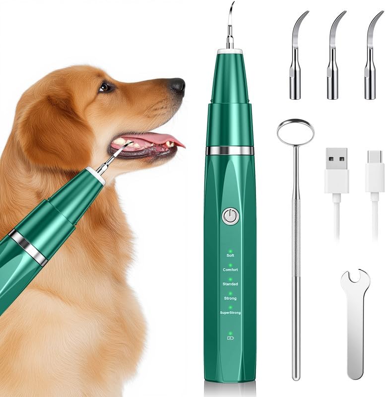 Zahnsteinentferner Zahnreiniger Ultraschall für Hund und Katze, Zahnpflege Set für Hunde & Katzen, Zahnreinigung und Reinigungsset Bekämpft Zahnstein Mundgeruch & Zahnfleischentzündungen, Grüner