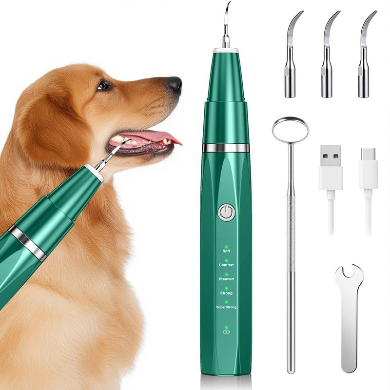 Love begans Kit di Pulizia dei Denti per Animali Domestici, Spazzolino da Denti ad Ultrasuoni con 5 modalità, Kit di Rimuovere la Placca Tartaro per Denti per Cani e Gatti, Verde