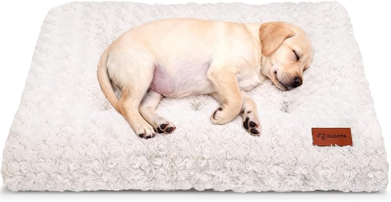 Tapete para Cama de Cachorro em Veludo com Base Antiderrapante ULIGOTA Rosette Branco Tamanho S – 61 × 10,2 × 45,7 cm
