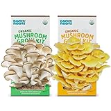 Back to the Roots Organic Pearl and Golden Oyster Mushroom Grow Kit - 2 Count Variety (Packaging May Vary)