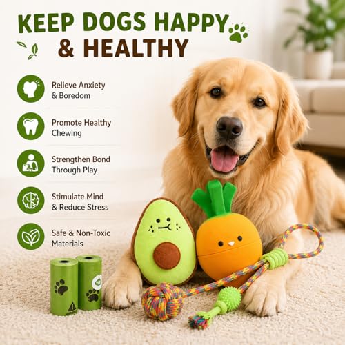 Juguete para perros interactivo set 5 piezas miniatura 3