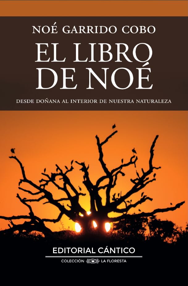 El libro de Noé (Spanish Edition)