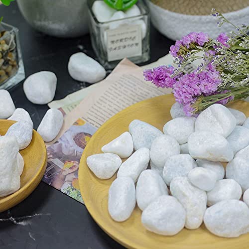UNITED ARAB EMIRATES Snow White 3-5 cm Decorative Pebbles Natural Decorative Rocks for Garden Plants Succulents Vase Aquariums Landscape River Stones Outdoor | 20 kgs.