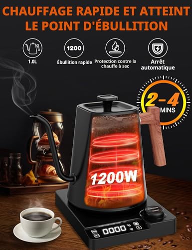 Bouilloire électrique 1L en acier inoxydable avec réglage de la température, col de cygne Bouilloire, fonction de chaleur 24 heures, bouilloire électrique avec affichage de la température, 1200W – vue 6