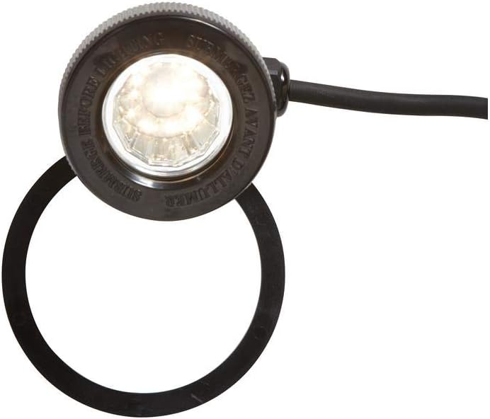 LED Low Voltage Pond Light