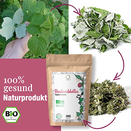 ORIGEENS Himbeerblättertee BIO 200g Herkunft Europa - Himbeerblätter Tee Schwangerschaft, Still Tee, Kinderwunsch tee