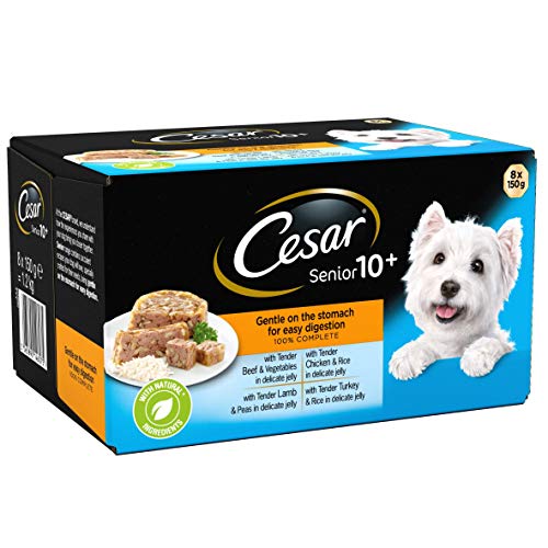 10 Best Cesar Dry Dog Foods 2024 There's One Clear Winner