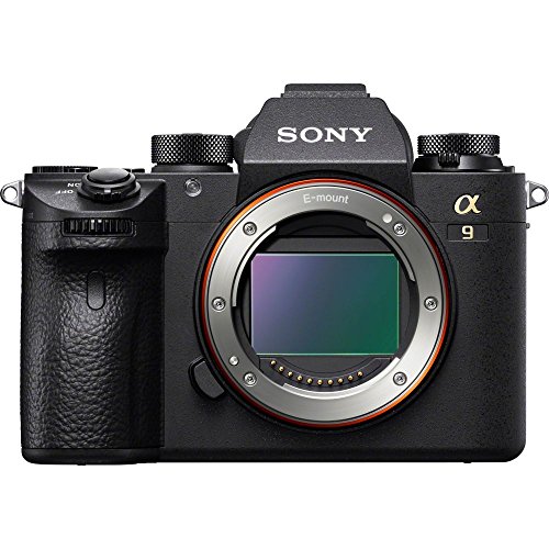 Sony α N_ILCE9.CEC Appareil Photo numérique Boîtier...