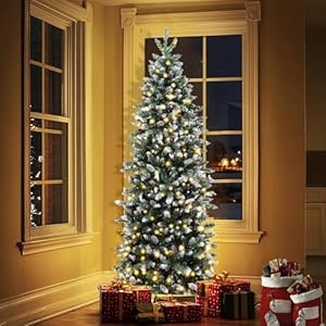 6 Ft Prelit Slim Fraser Fir Artificial Christmas Tree with UL 250 Warm White&Colorful Lights Timer 8 Mode,856 Lifelike PVC Branch Tips,36 Pinecone,Metal Stand &Hinged Branches,Skinny Pencil Xmas Tree 6 Ft Prelit Slim Fraser Fir Artificial Christmas Tree with UL 250 Warm WhiteColorful Lights Timer 8 Mode856 Lifelike PVC Branch Tips36 PineconeMetal Stand Hinged BranchesSkinny Pencil Xmas Tree