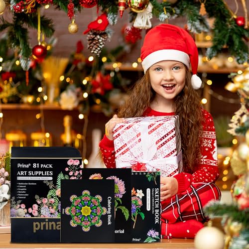 Prina PRINA-81 Drawing Set Sketching Kit, Pro Sketch Stuff Art Supplies With Rainbow, Colored, Graphite, Watercolor, Metallic, Charcoal Pencils, Sketchbook, Coloring Book, Gift Case For Artists Adults Kids thumb #6