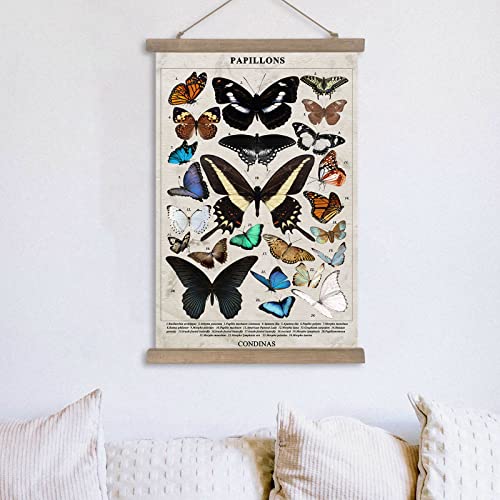 Condinas Vintage Butterfly Poster,Illustrative Poster,With Wood Frame Wall Art 16 X 24 Inch, Ready To Hanging (Butterfly C) #TOP7