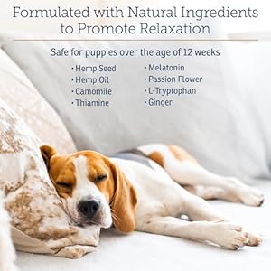   Rx-Vitamins-NutriCalm-Hemp-Calming-Chews-for-Dogs-Dog-Calming-Chews-with-Melatonin-and-Chamomile-Anxiety-Relief-Treats-Provides-Relaxation-Separation-Anxiety-Relief-for-Dogs-120-capsules
