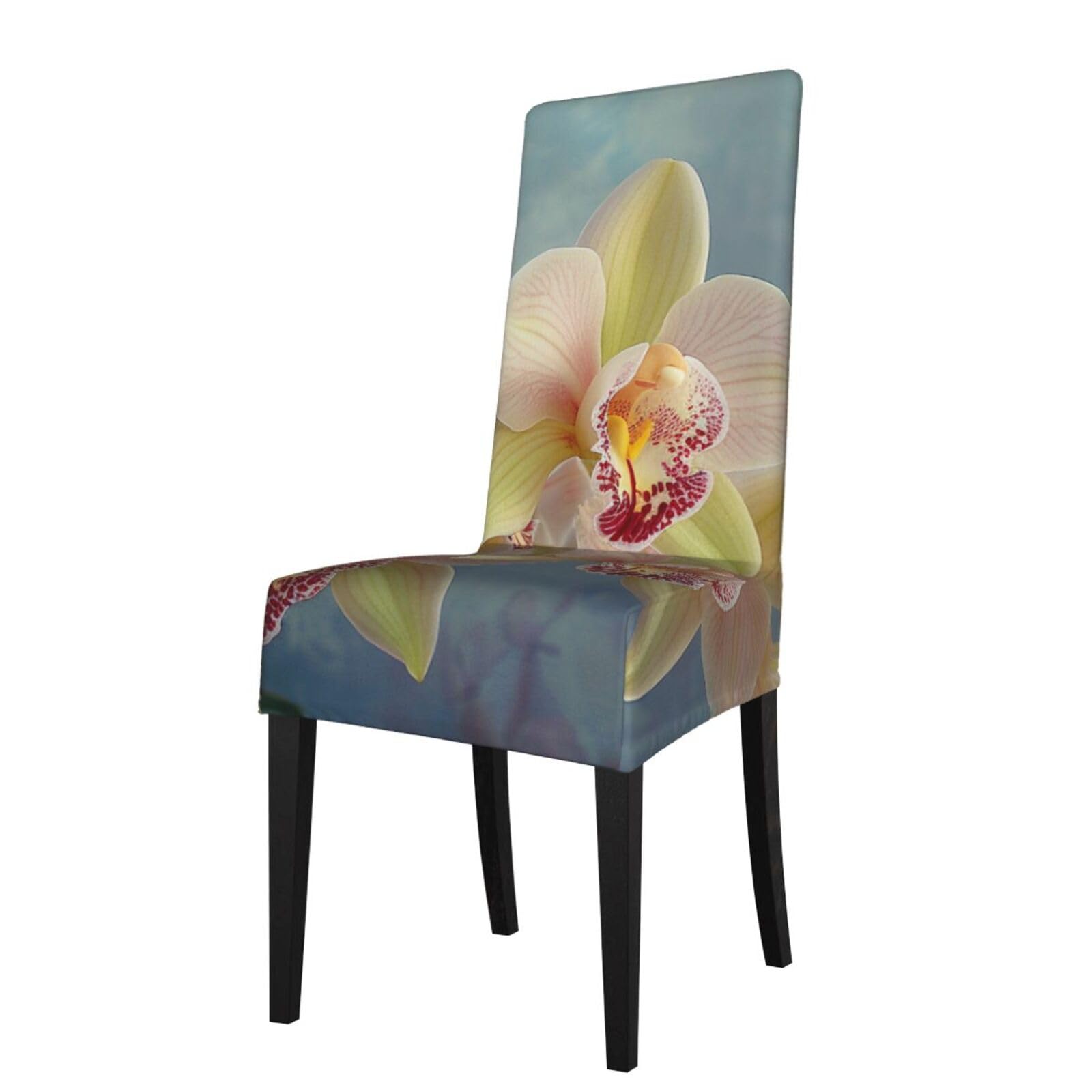 WPKJU Orchids Print Dining Chair Covers Removable Chair Seat Covers Decorative for Kitchen & Bar Stools