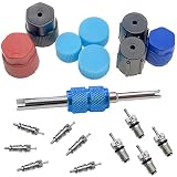 VOTNMIC Air Conditioning Valve Core Kit,Cap & Valve Air Conditioning System Seal Cap A/C R12 R134a R