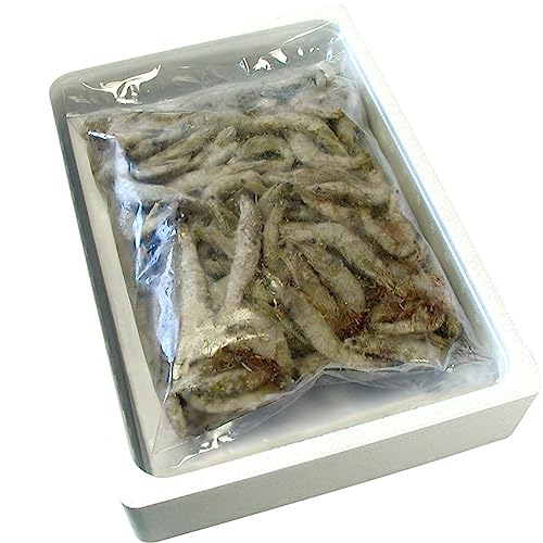 Y F{Y ł v1kgi120-150OjVoGr ΂ ŊCV IIkCO ɏ