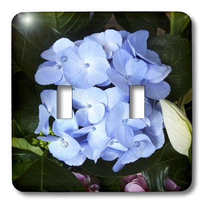 Interrupteur double à bascule hortensia bleu 3dRose lsp_40837 pour decoration